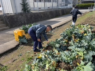 image0 (2)