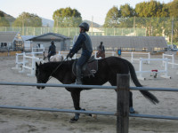 IMG_6028