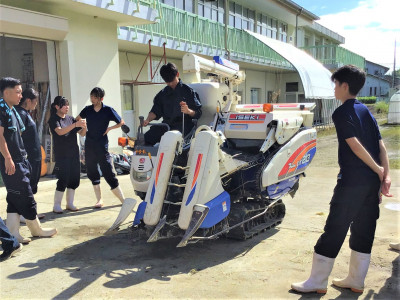 R6 稲刈り２