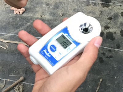 糖度計