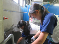 おさかな館２