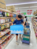 レディ１