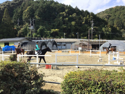馬術１