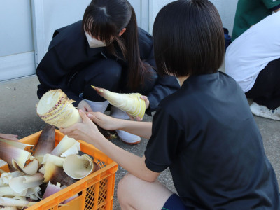 園芸３